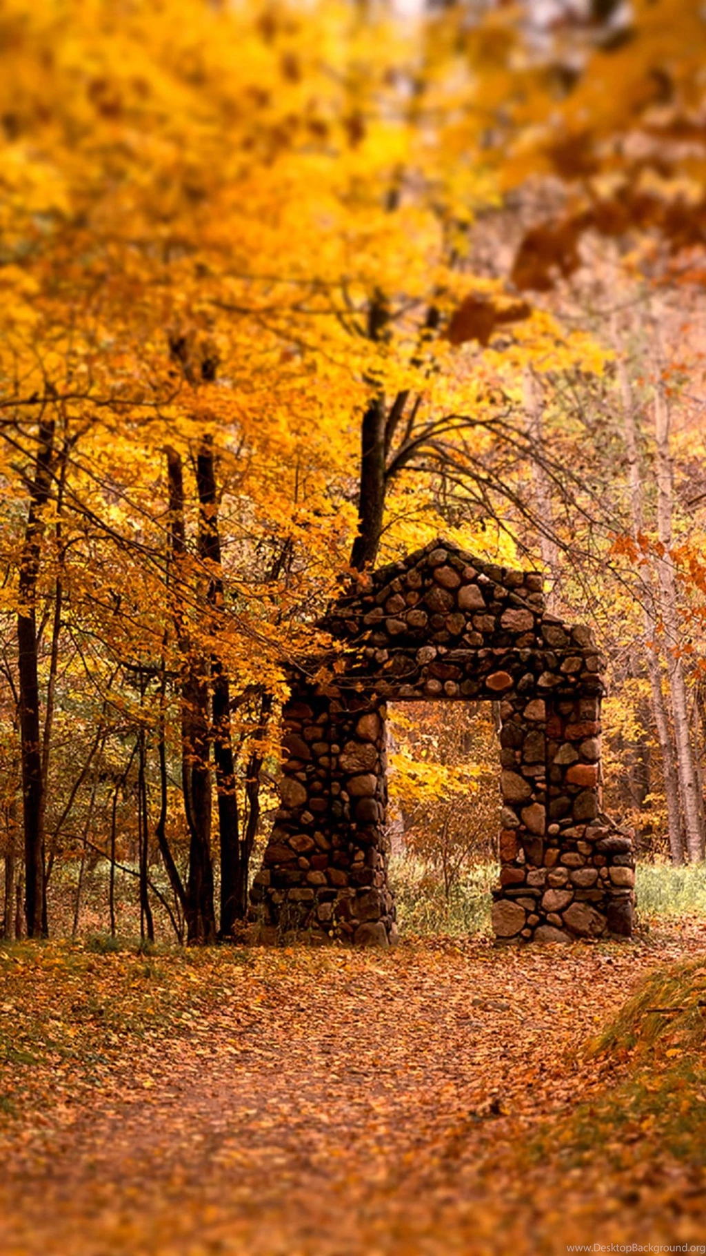 Brick Door Autumn Maple Trees Forest Android Wallpapers Free Download