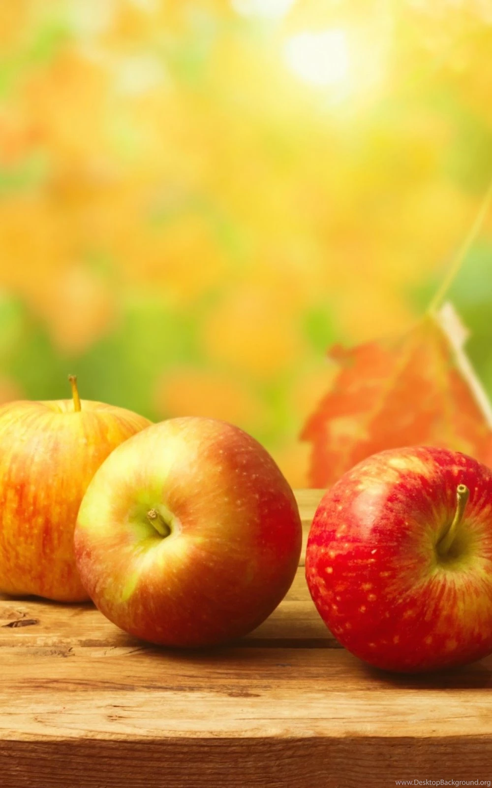 Autumn Apples Wood Table Android Wallpapers Free Download