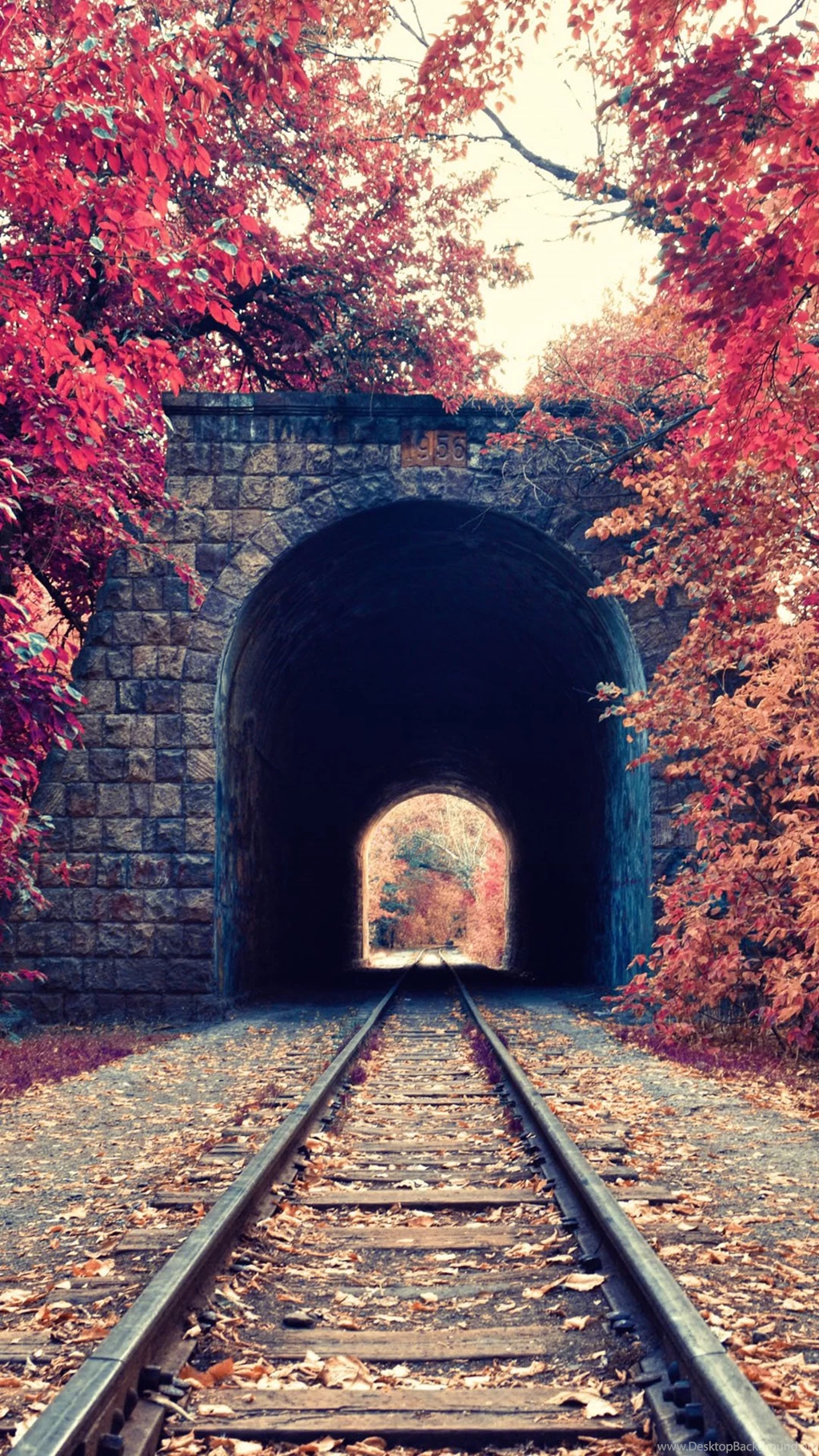 Autumn Train Tunnel Red Leaves Android Wallpapers Free Download