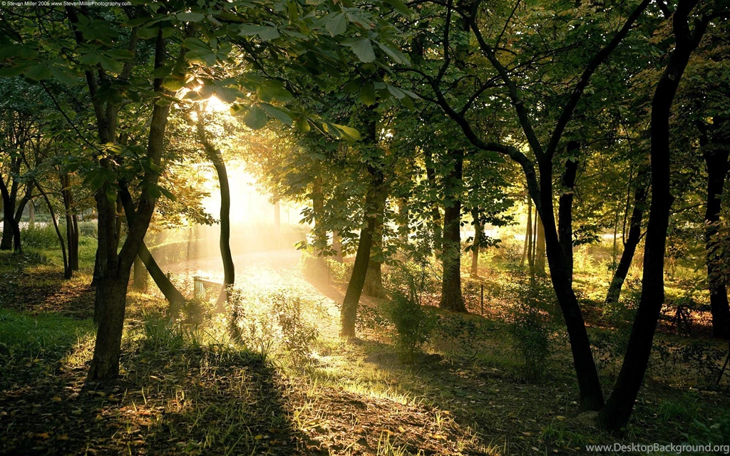 2560x1600 Desktop Wallpapers