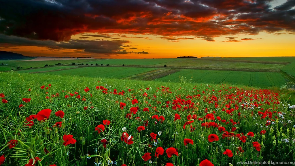 Hd Wallpapers 1080p