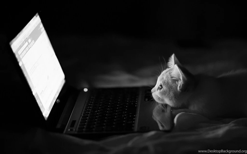 Laptop Wallpapers