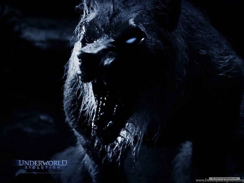 Free Wallpapers Free Movie Wallpapers Underworld Evolution Desktop Background