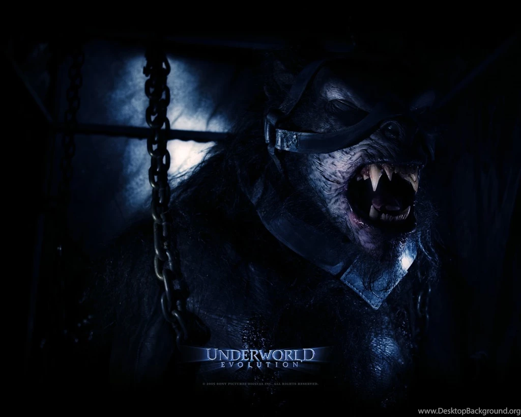 Index Of /images/Films/Autres/fonds