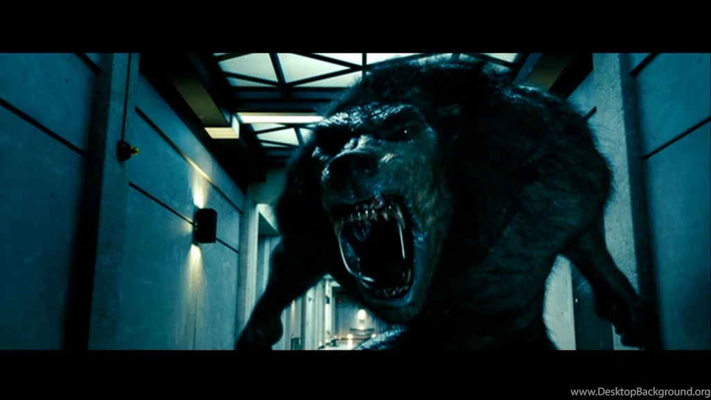 Underworld: Evolution Computer Wallpapers, Desktop Backgrounds ...