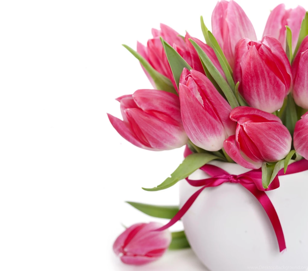 Tulips Wallpapers