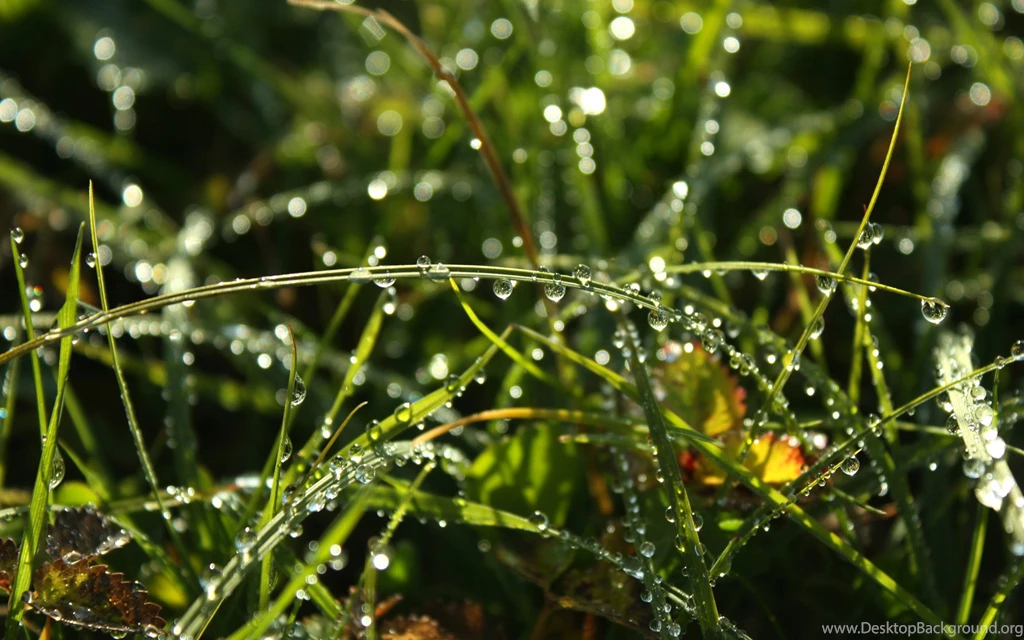 Free Desktop, Tablet And Ipad High Res Wallpapers Page 3