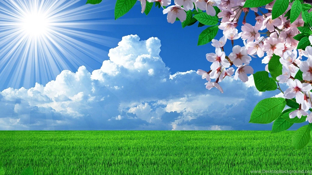 Spring Nature Wallpapers High Resolution