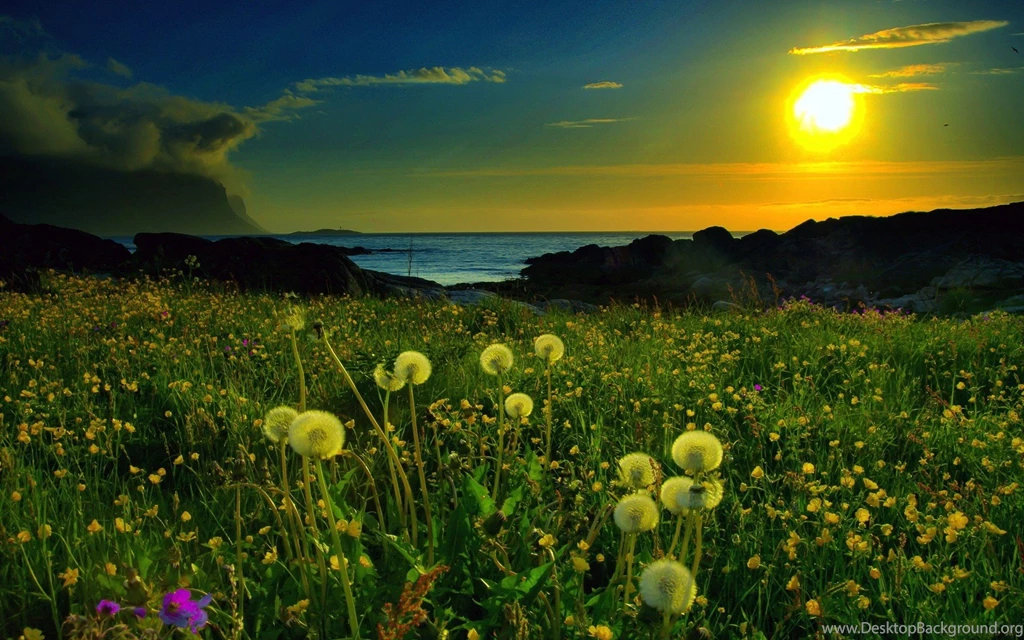 H D Wallpapers Nature