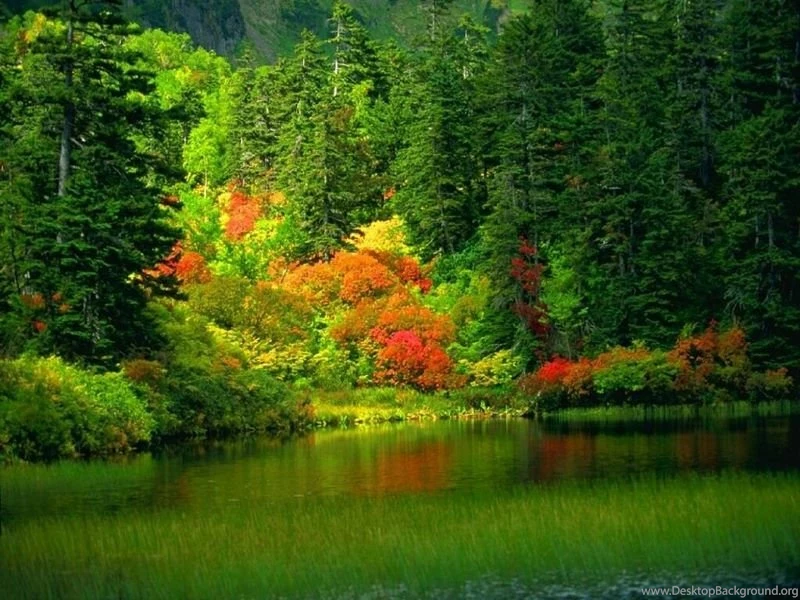 Awesome Beautiful Scenery Agfithfm