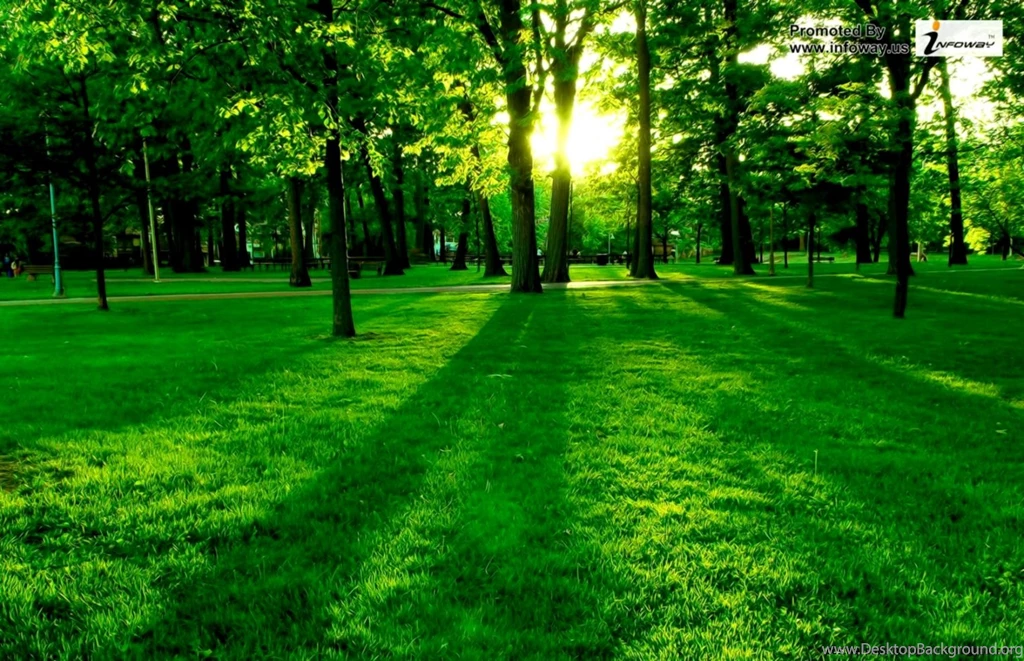 Beautiful Scenery Wallpapers Desktop Wallpapers