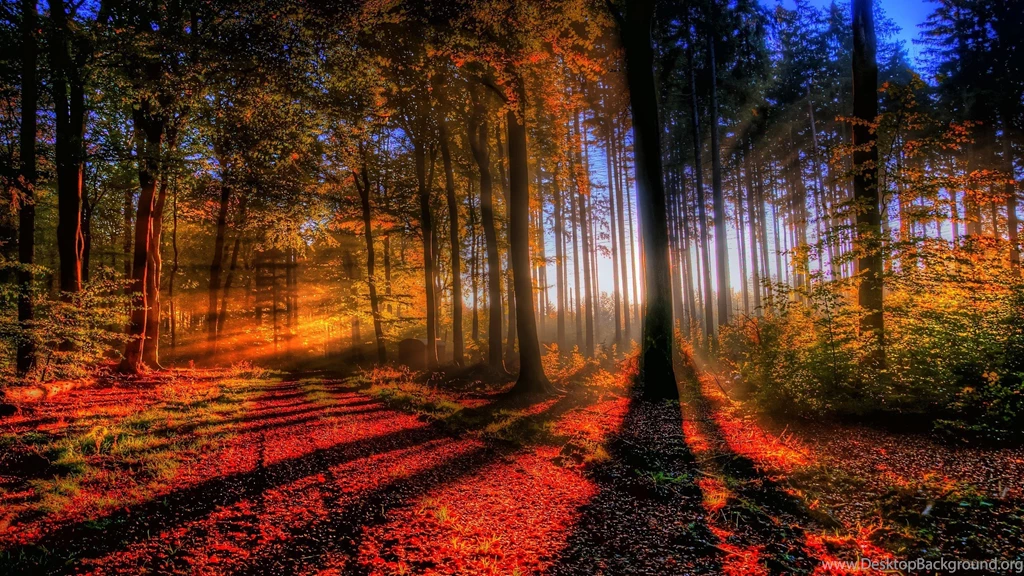Wallpapers World S Most Beautiful Nature Very Autumn Season Hd Hq ...