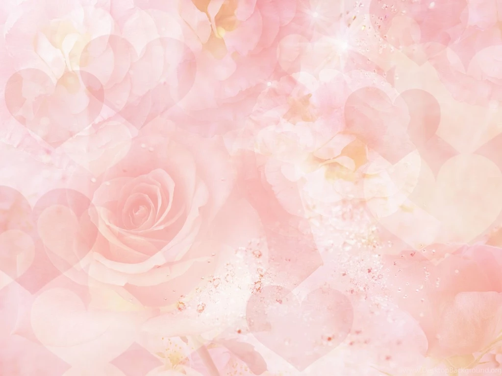 Pink Rose Backgrounds Wallpapers Cave