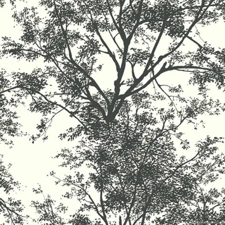 Tree Silhouette Wallpapers