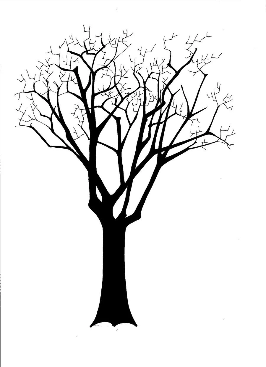 Tree Silhouette Hd Wallpapers Placecom ClipArt Best ClipArt Best