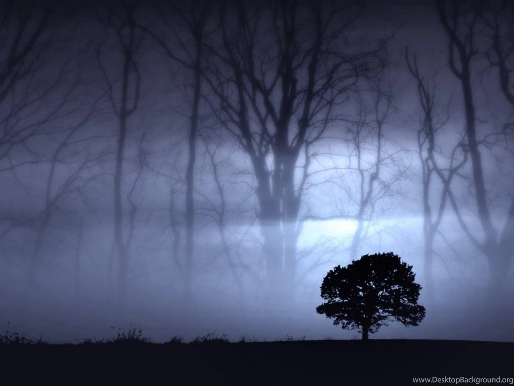Lonely Tree Silhouette Normal 1 WallpaperSuggest.com