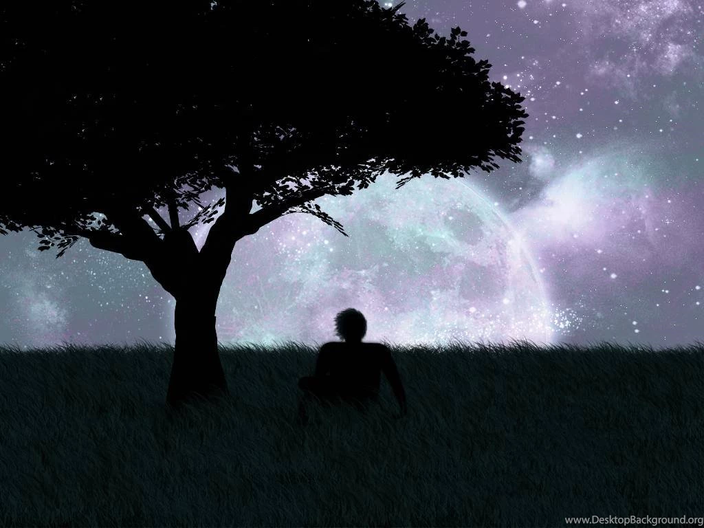 Moon With Tree Silhouettes Wallpaper_other_health Questions ...