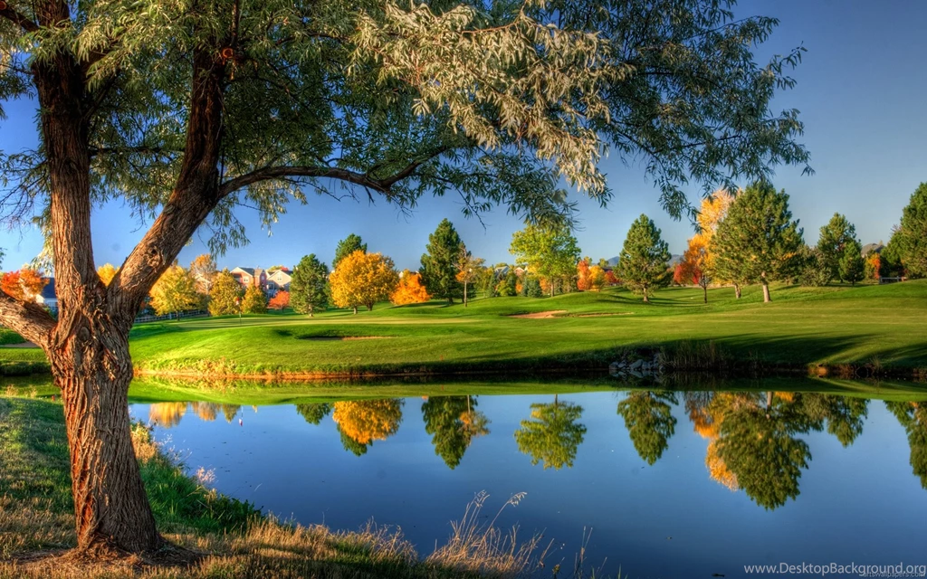 Pictures Of Nature Collection (41+)