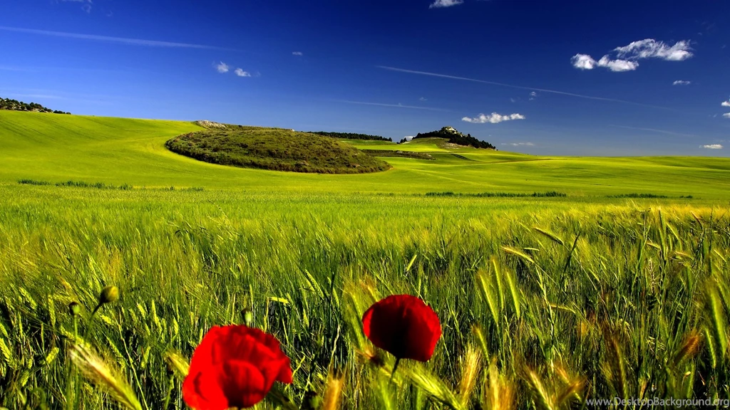 Nature Images Hd
