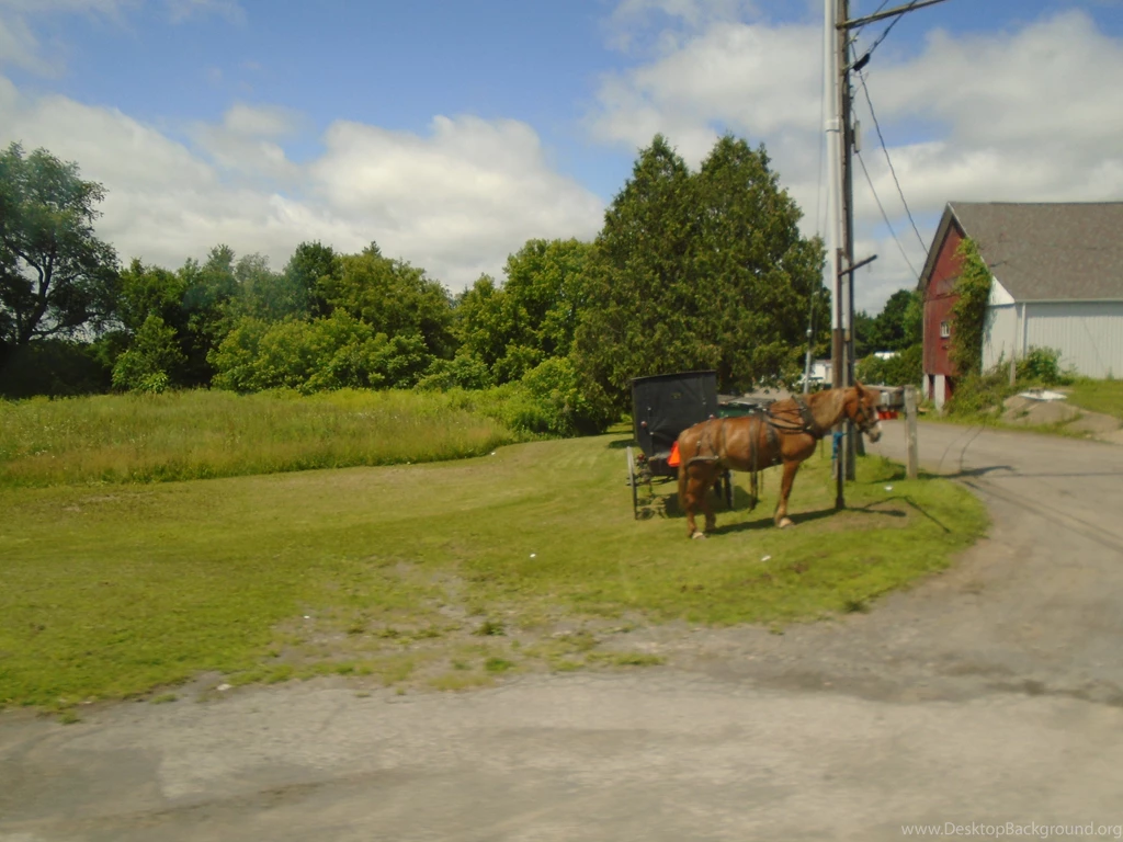 Horses Amish Buggy Summer Horses Country Wallpapers For Desktop ...