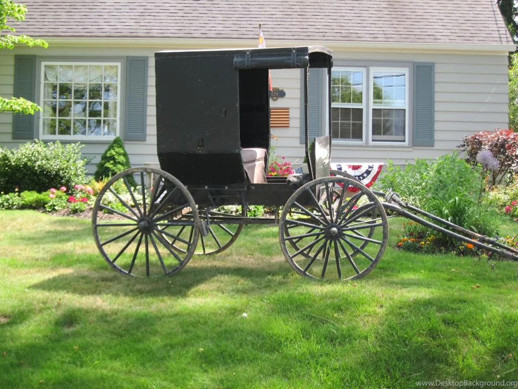 The Amish In The City
