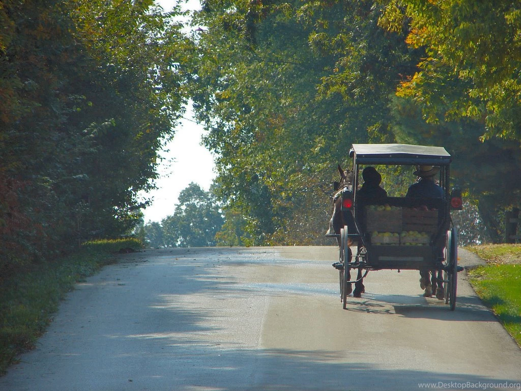 Things I Would Miss If I Were Amish