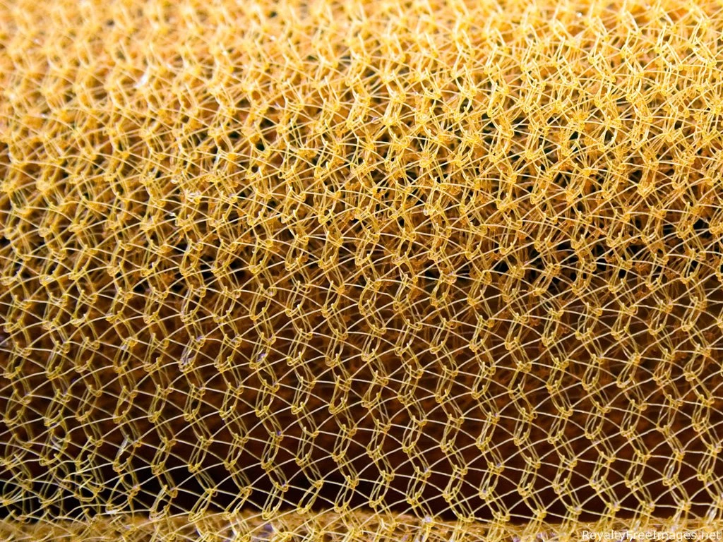 Royalty Free Photos Free   Wallpapers HD Base