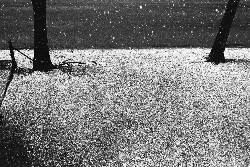 Royalty Free Wallpapers