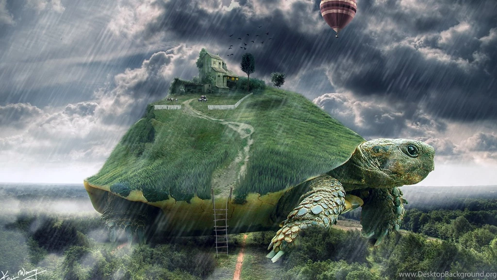 1366x768 Turtle Landscape Surreal Desktop PC And Mac Wallpapers