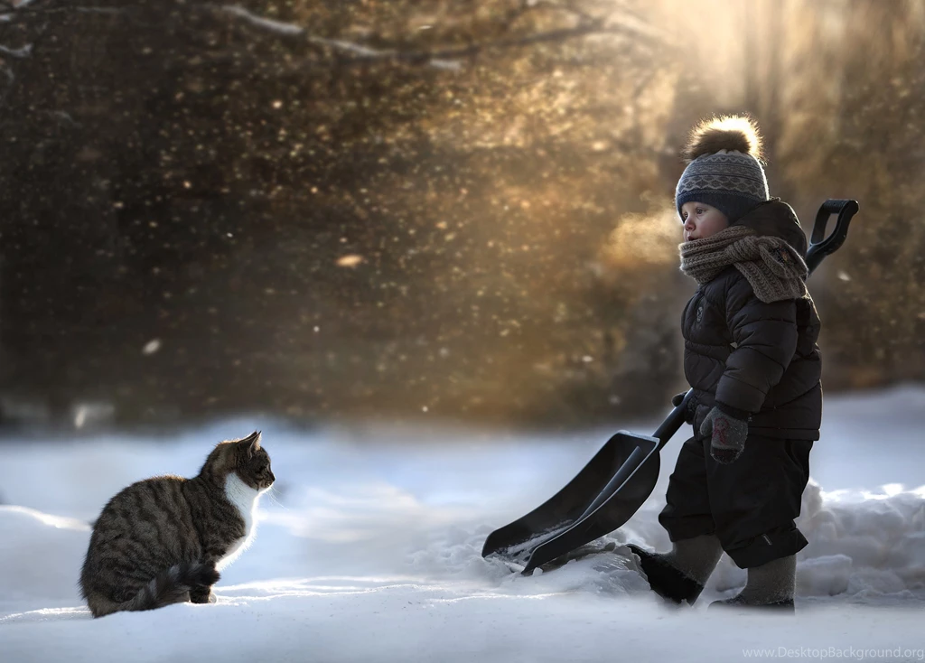 Cats Winter Winter Hat Snow Boys Children Animals Wallpapers ...