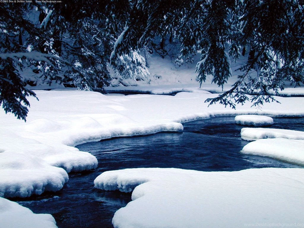 Winter Wonderland Photos