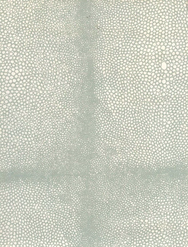 Anya Larkin » Shagreen