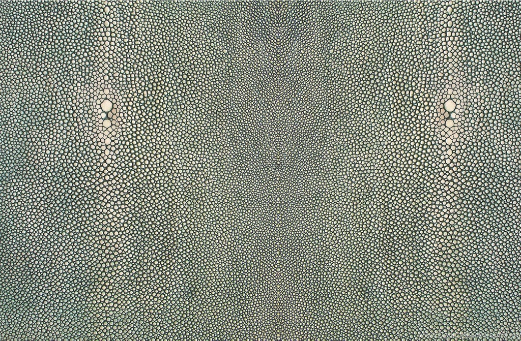 Zoë Design: Day 8 ~ WALLPAPER A DAY "Shagreen"