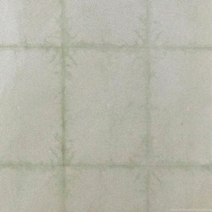 W A R M — Arena Design