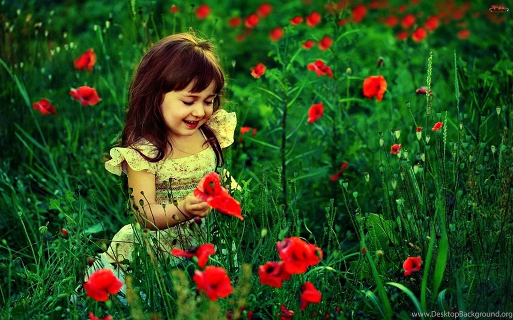 HD Photography Wallpapers : Cute Baby Girl With Red Flowers HD ...