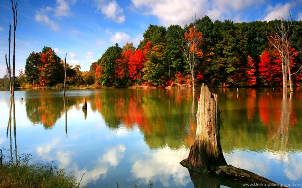Autumn Wallpapers 006, Free Desktop Wallpapers, Cool Wallpapers