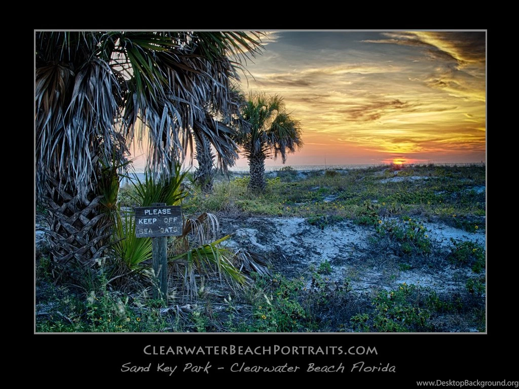 Free Beach Wallpaper Backgrounds