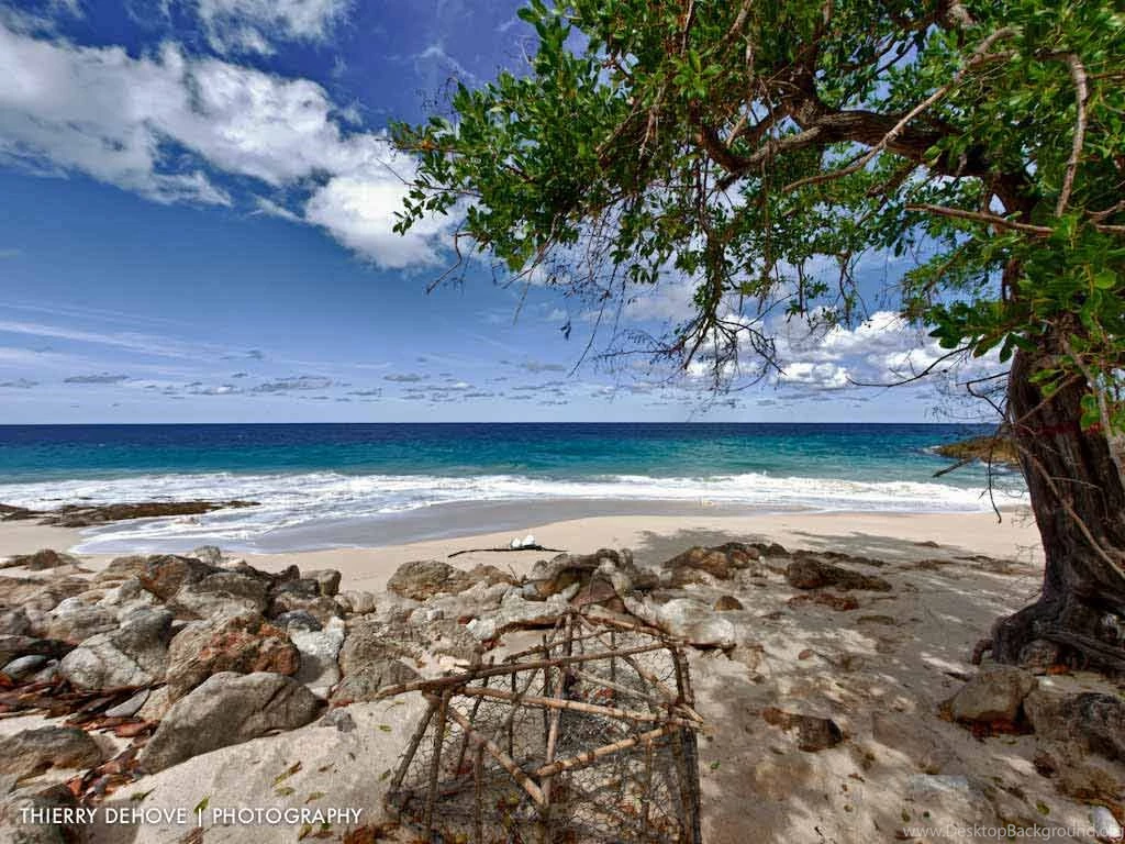 Wallpapers Fair: Download Beaches & Islands Backgrounds Wallpapers ...