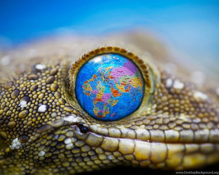 DeviantArt: More Like 3d High Wallpapers Hd By Mu6