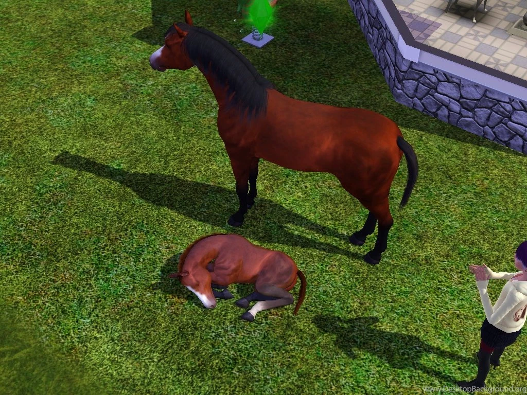 A Baby Horse Is Born By Sims 3 screenshots On DeviantArt