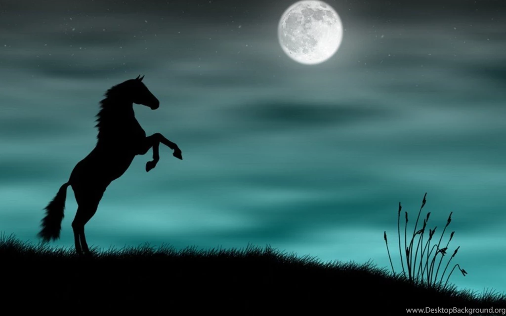 Beautiful Baby Horses Images