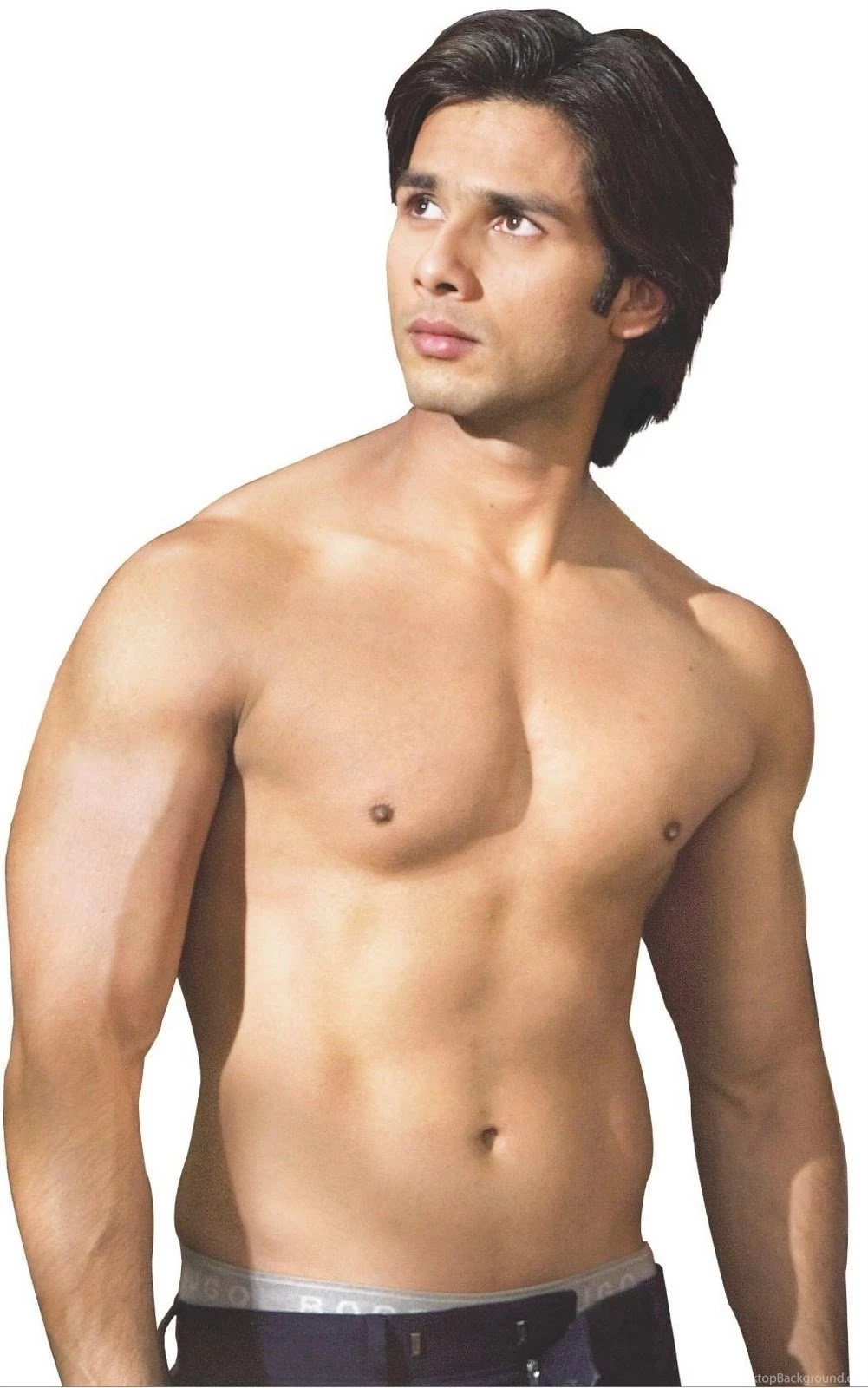 Shahid Kapoor Best Body HD Images