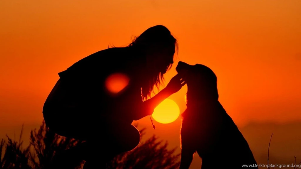 Download Wallpapers 1920x1080 Girl, Dog, Light, Shadow, Silhouette ...