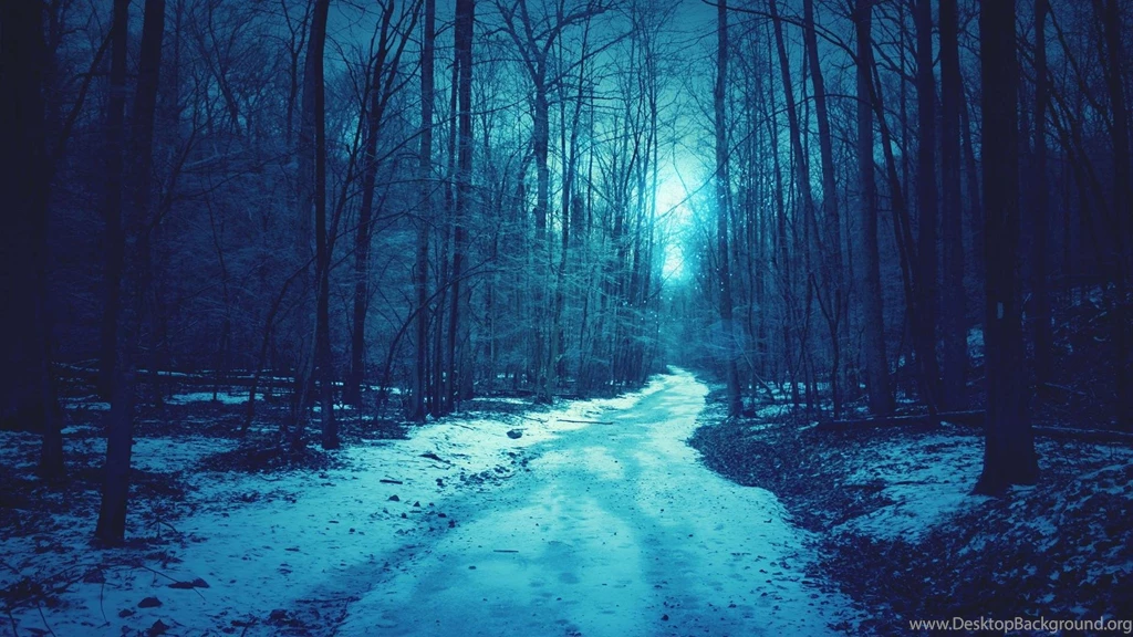 The Winter Snow Forest Shallow Blue Backgrounds Widescreen And HD ...