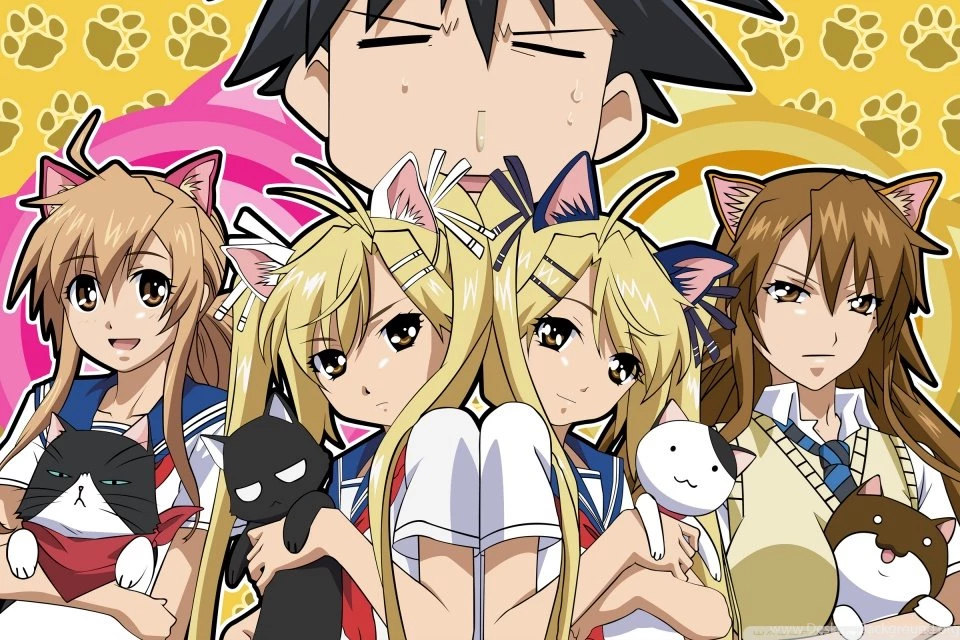 Cat Girls Anime HD Desktop Wallpapers