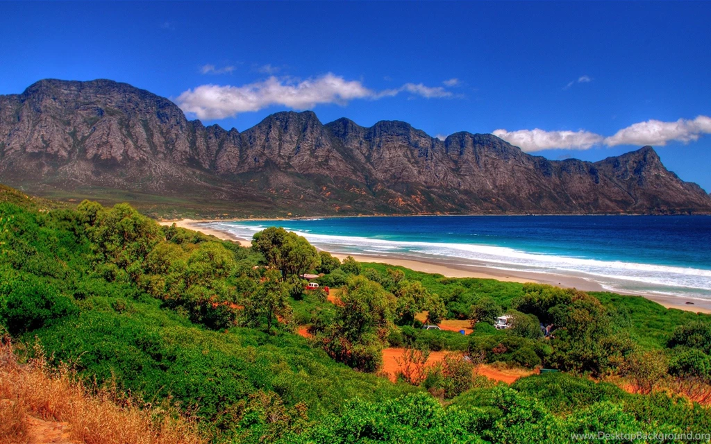 Download Giraffes Africa Wallpapers 1920x1080