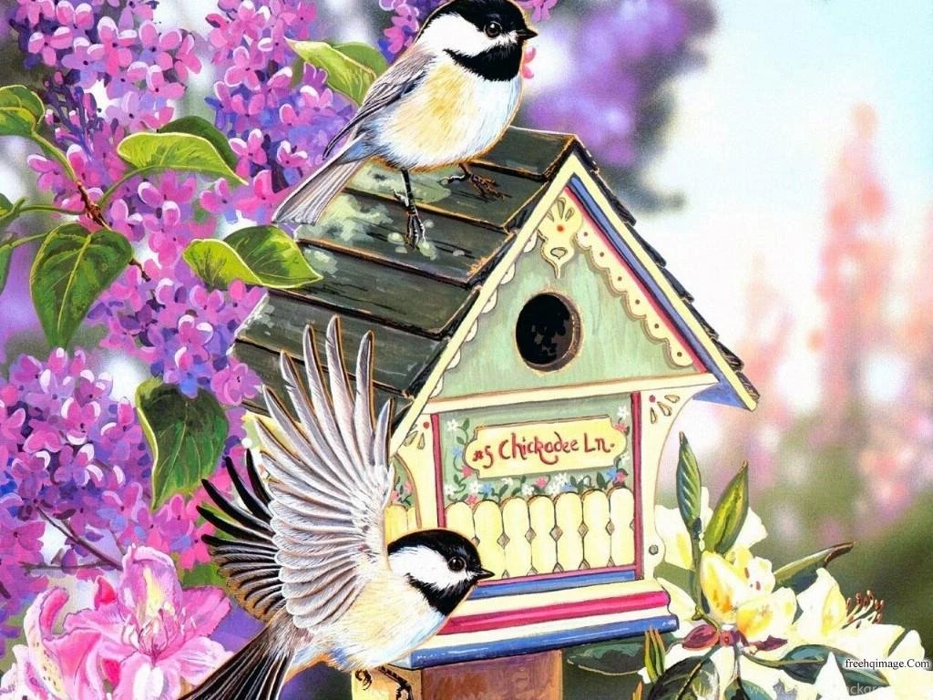 BIRDHOUSE WALLPAPER   (