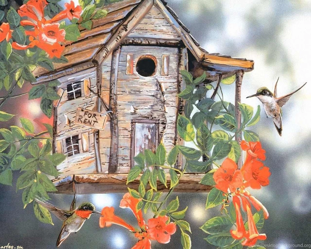 HUMMINGBIRD BIRDHOUSE WALLPAPER (