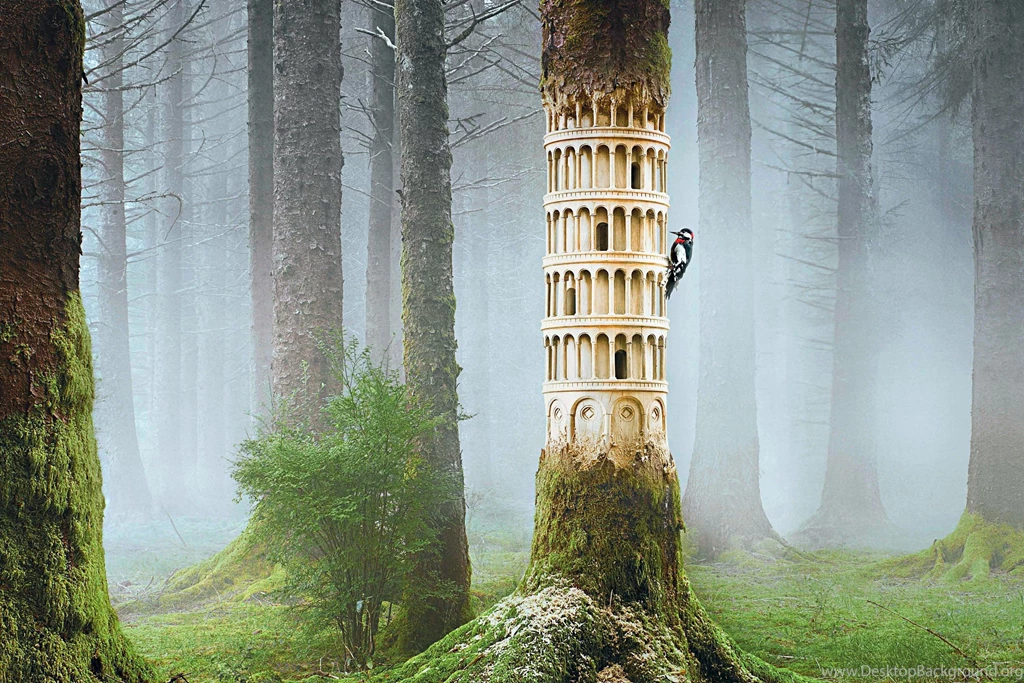 Nice Birdhouse Wallpapers