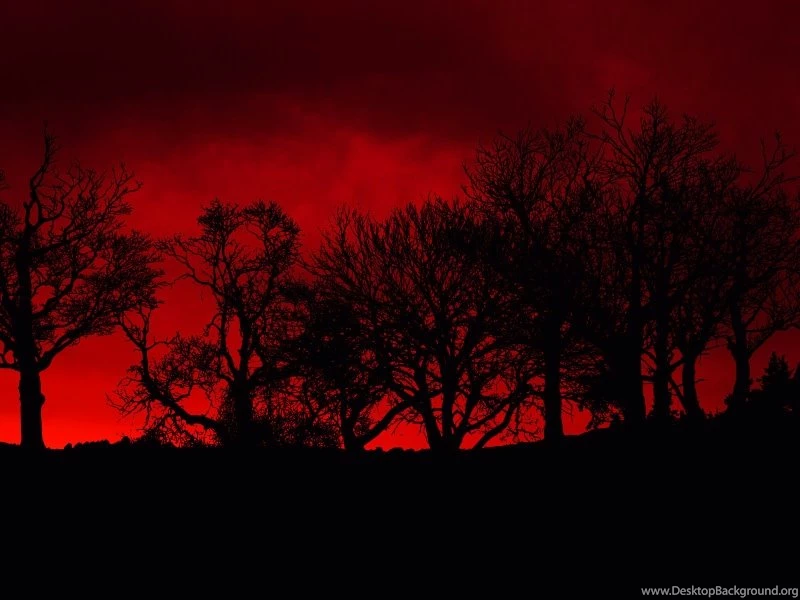 Trees Red Blood Poison Skyscapes 1600x1200 Wallpapers – Nature Sky ...